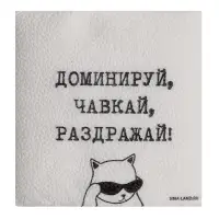 Салфетки бумажные однослойные &laquo;Доминируй, чавкай, раздражай&raquo;, 24&times;24 см, набор 20 шт.
