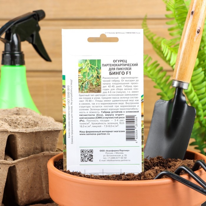 Семена огурца Семена огурца "Бинго", F1, 5 шт.