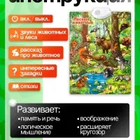 Говорящий электронный плакат ZABIAKA &laquo;Лесные животные&raquo;, работает от батареек