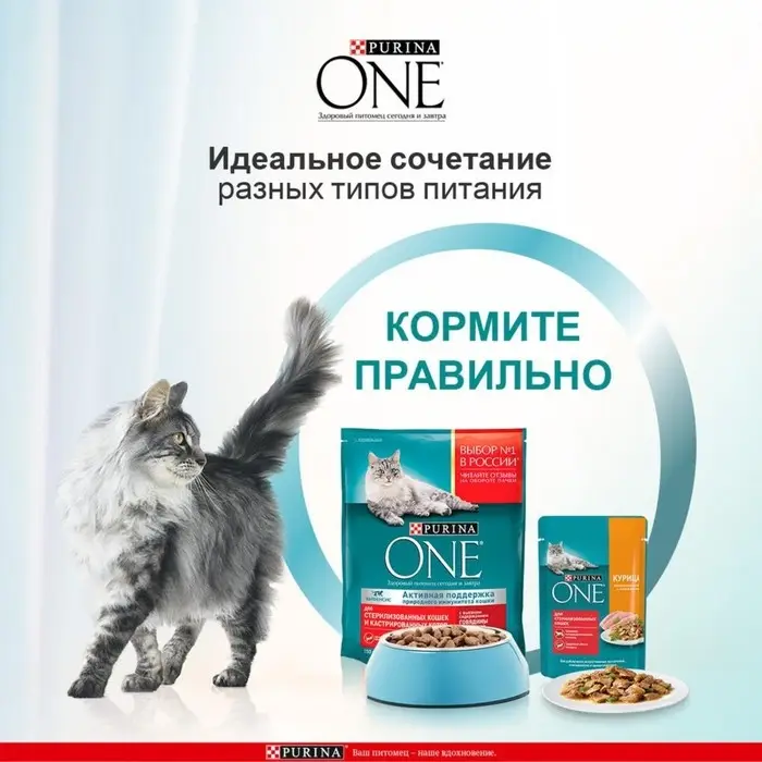 Влажный корм Purinа One для стерилизованных кошек, курица/фасоль, 75 г Влажный корм Purinа One для стерилизованных кошек, курица/фасоль, 75 г