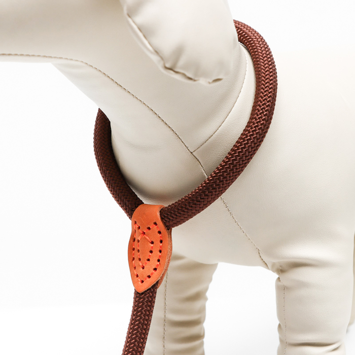 Поводок-удавка 150 х 1,2 см, полиэстер и натуральная кожа, коричневый Поводок-удавка 150 х 1,2 см, полиэстер и натуральная кожа, коричневый