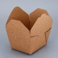 Контейнер одноразовый, коробка пищевая, для лапши, 600 мл, 11&times;9&times;7.3 см