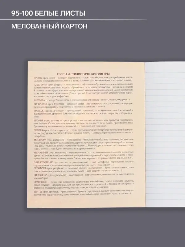 Тетрадь предметная 48 листов в линейку Calligrata, «Футбол. Литература», обложка мелованный картон Тетрадь предметная 48 листов в линейку Calligrata, «Футбол. Литература», обложка мелованный картон
