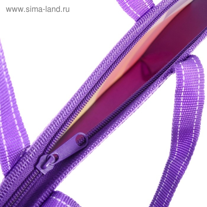 Папка с ручками А4, 335 х 235 х 55 мм, пластиковая, ручки-тесьма, Calligrata "Для творчества"