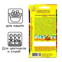 Семена Цветов Петуния "Джоконда", F1, ярко-алая, драже в пробирке, 5 шт