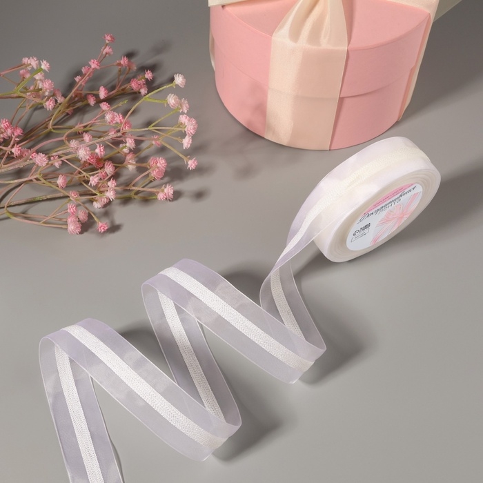 Лента декоративная, капроновая, 25 мм, 9 ± 0,5 м, цвет белый №001 Лента декоративная, капроновая, 25 мм, 9 ± 0,5 м, цвет белый №001