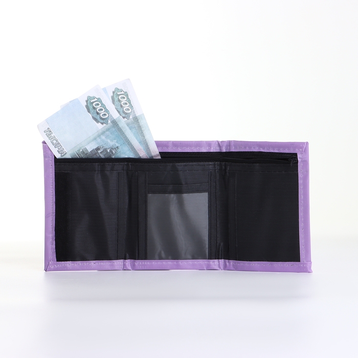 Кошелёк детский на липучке &laquo;Выбражулька&raquo;, цвет розовый