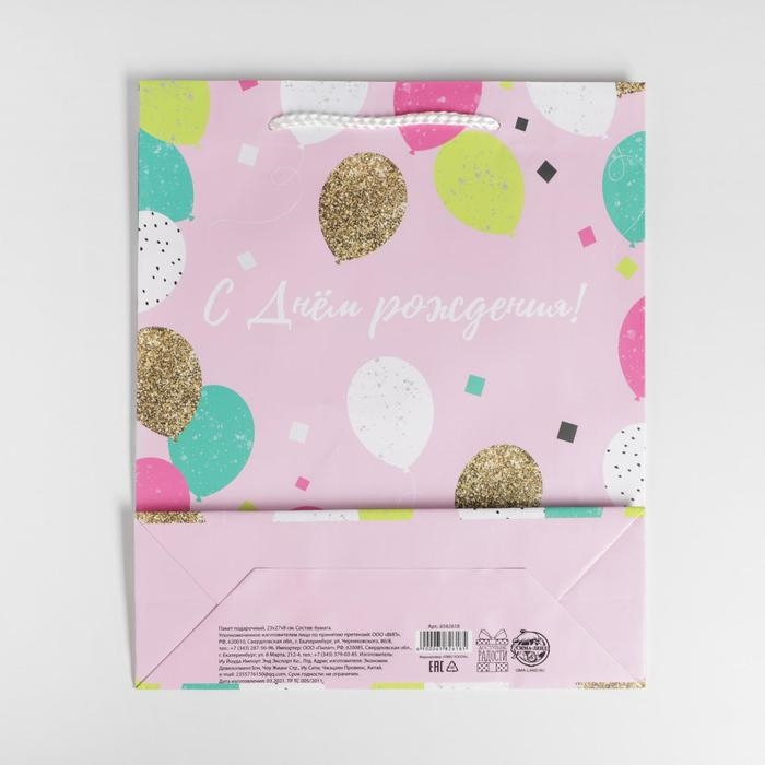 Пакет подарочный ламинированный, упаковка, «Happy Birthday», ML 21 х 25 х 8 см Пакет подарочный ламинированный, упаковка, «Happy Birthday», ML 21 х 25 х 8 см