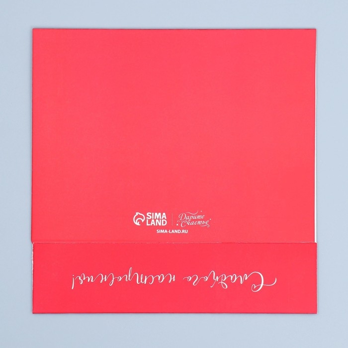 Коробка кондитерская, упаковка «Тюльпаны», 8 марта, 20 х 15 х 5 см Коробка кондитерская, упаковка «Тюльпаны», 8 марта, 20 х 15 х 5 см