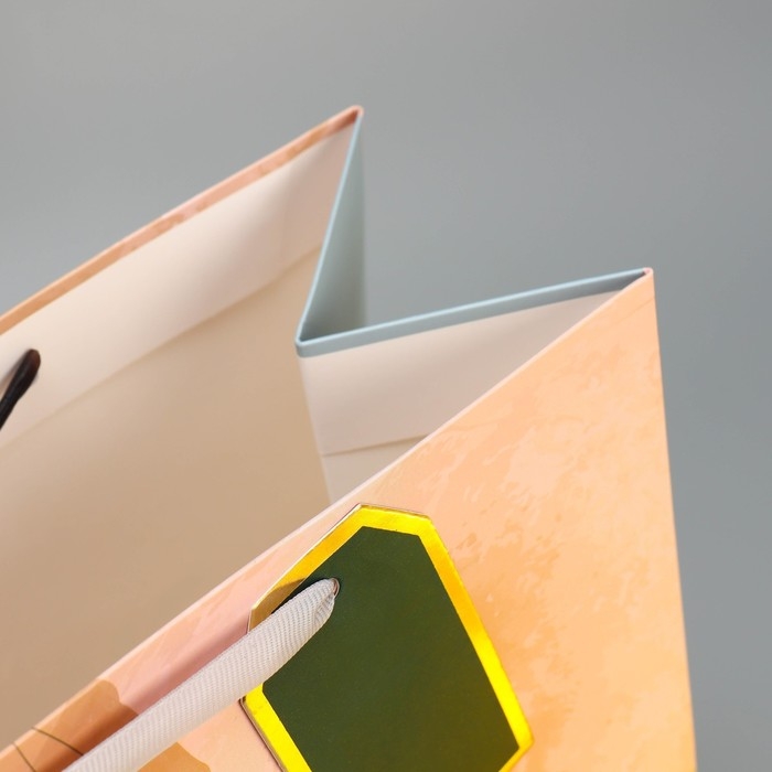 Пакет подарочный ламинированный, упаковка, «Солнце моё», 25.4 х 30.5 х 12.7 см Пакет подарочный ламинированный, упаковка, «Солнце моё», 25.4 х 30.5 х 12.7 см