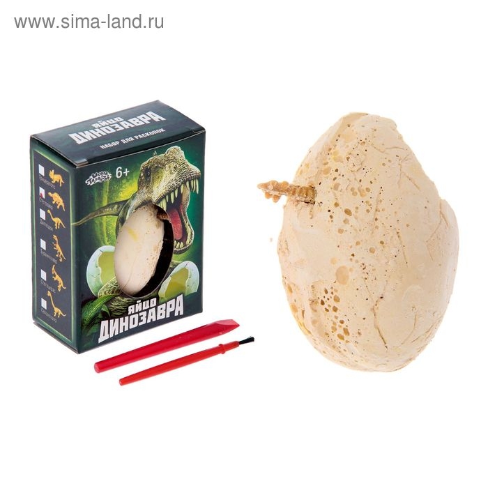 Набор археолога «Стегозавр», серия «Окаменелое яйцо динозавра»