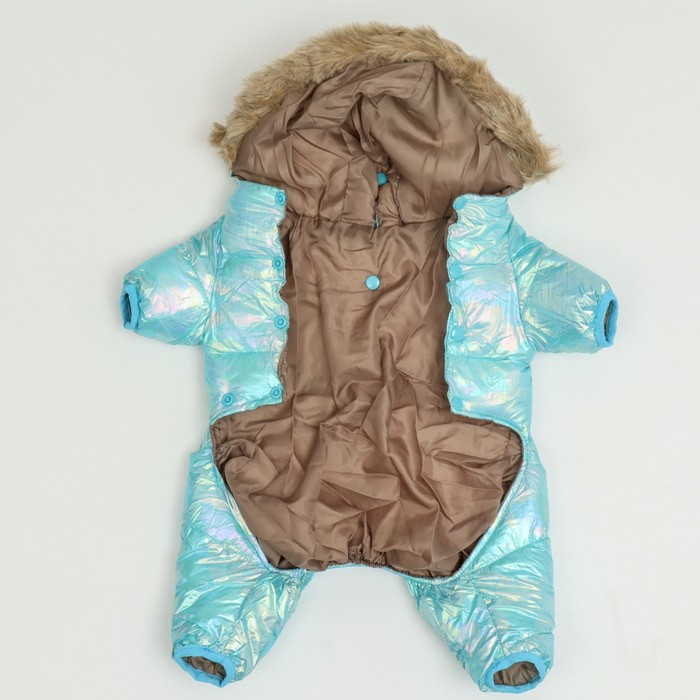 Комбинезон Комбинезон "Глянец", размер 8 (ДС 23, ОГ 30, ОГ 22), голубой