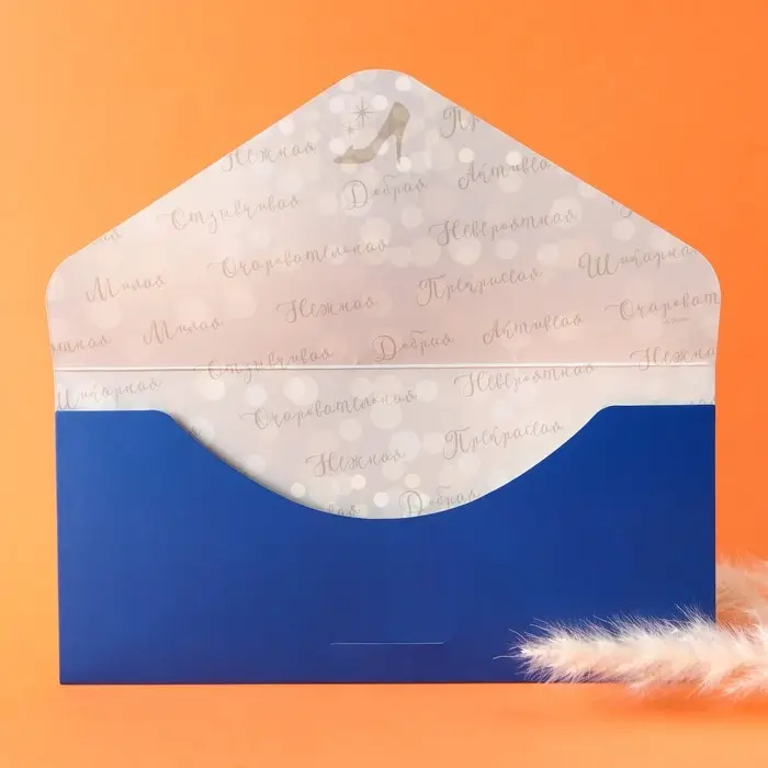 Конверт для денег, софт тач, 19 х 9 см &laquo;Живи мечтой&raquo;, Принцессы