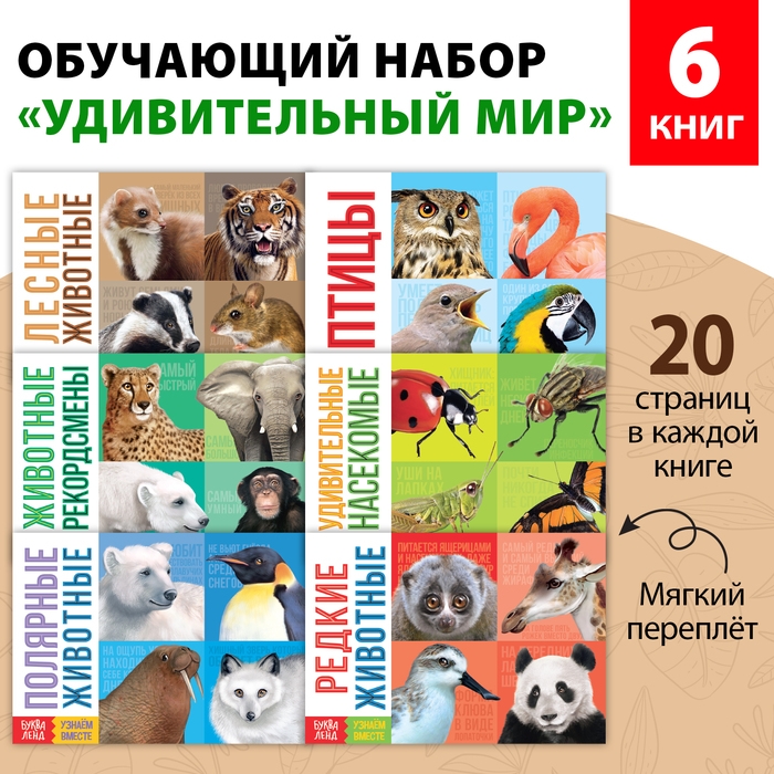 Обучающие книги набор «Удивительный мир» 6 шт. по 20 стр. Обучающие книги набор «Удивительный мир» 6 шт. по 20 стр.