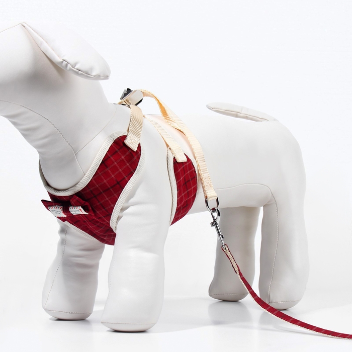 Комплект с мягкой шлейкой  Комплект с мягкой шлейкой "Клетки", размер S, поводок, 120 х 1,5 см, ОГ 28-62 см, красный