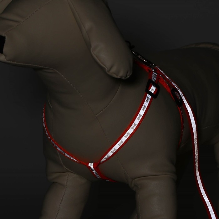 Комплект светоотражающий  Комплект светоотражающий "Косточки", ошейник 120 х 1 см, ОШ 24-40 см, ОГ 24-40 см оранжевый