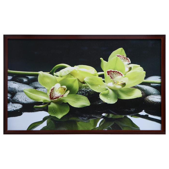 Картина  Картина "Орхидея-2" 67х107 см