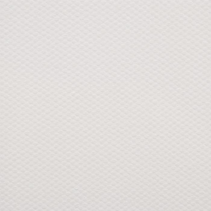 Холст на подрамнике, хлопок 100%, акриловый грунт, 2 х 40 х 50 см, 400 г/м2, крупное зерно, Гамма Холст на подрамнике, хлопок 100%, акриловый грунт, 2 х 40 х 50 см, 400 г/м2, крупное зерно, Гамма "Студия"