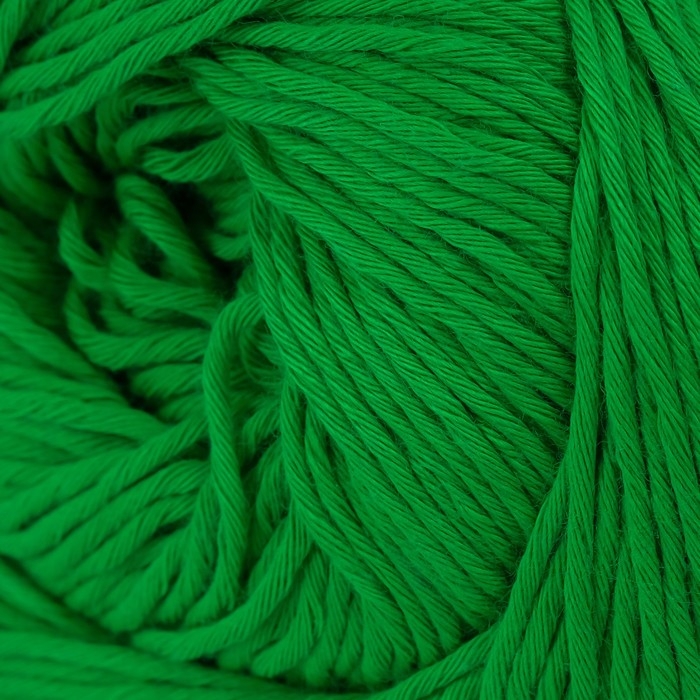 Пряжа Пряжа "Bouquet Unicolor" 100% хлопок 200м/100г (3220 зелень яркая)