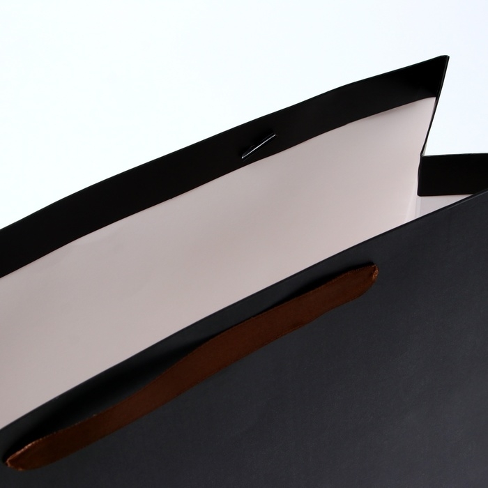 Пакет ламинированный горизонтальный «Черный», L 40 × 31 × 14 см Пакет ламинированный горизонтальный «Черный», L 40 × 31 × 14 см