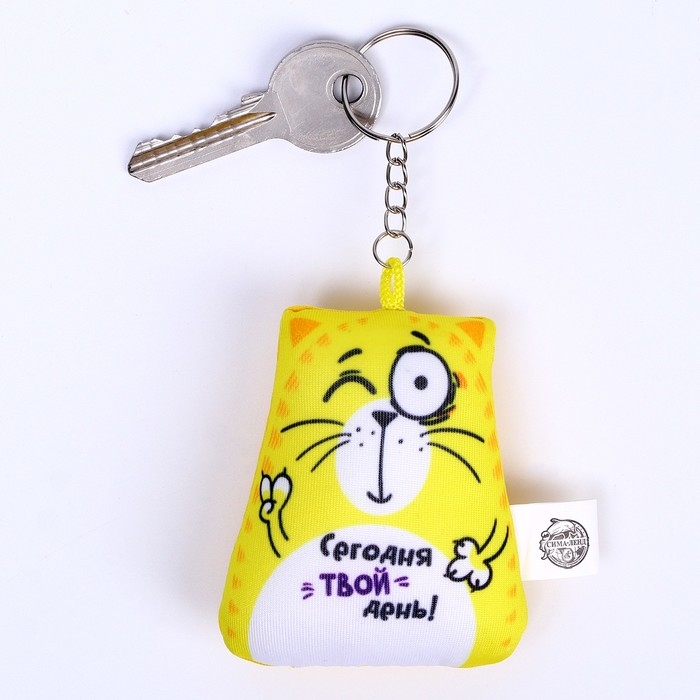 Брелок-антистресс &laquo;Сегодня твой день!&raquo;, кот, 6х7 см