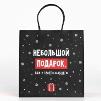 Пакет подарочный новогодний «Небольшой подарок», 22 х 22 х 11 см , Новый год