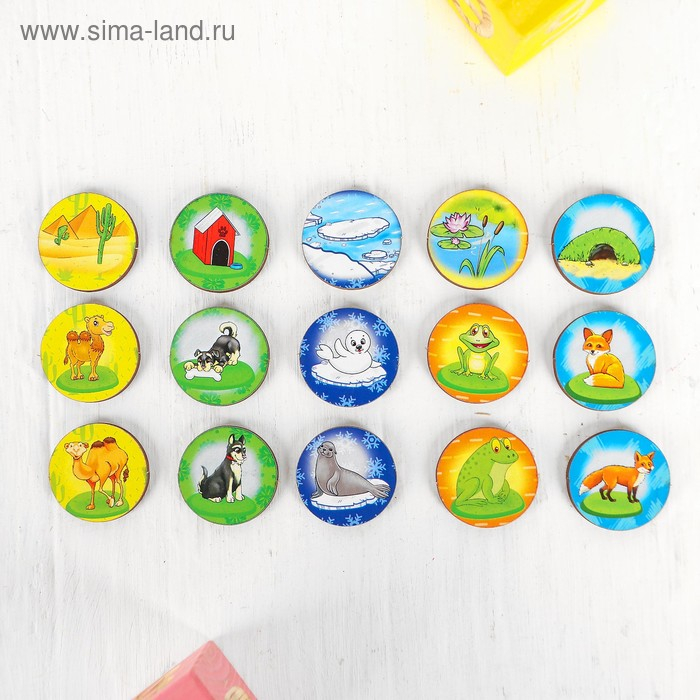 Барабан «Кто где живёт» Барабан «Кто где живёт»