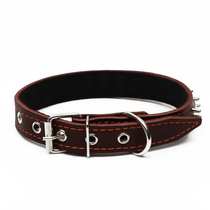 Ошейник кожаный на синтепоне Ошейник кожаный на синтепоне "Ёж", 56 х 2.5 см, ОШ 35-45 см, коричневый