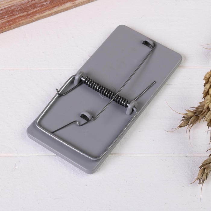 Мышеловка, 12 × 6 см, пластиковая Мышеловка, 12 × 6 см, пластиковая