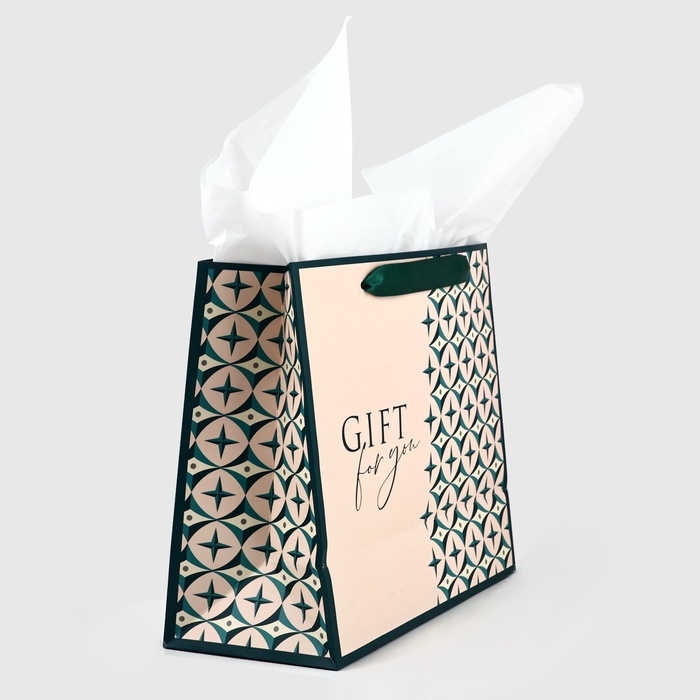 Пакет ламинированный двухсторонний «Геометрия», с тишью и открыткой, ML, 23 х 27 х 11.5