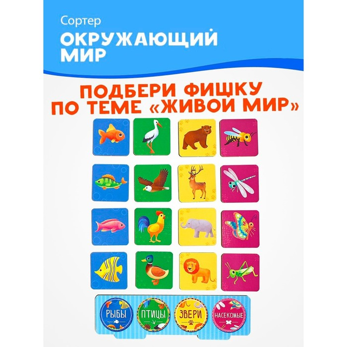 Развивающая игра «Сортер: Окружающий мир» 32 фишки Развивающая игра «Сортер: Окружающий мир» 32 фишки
