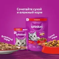 Влажный корм Whiskas для кошек, рагу треска,  75г