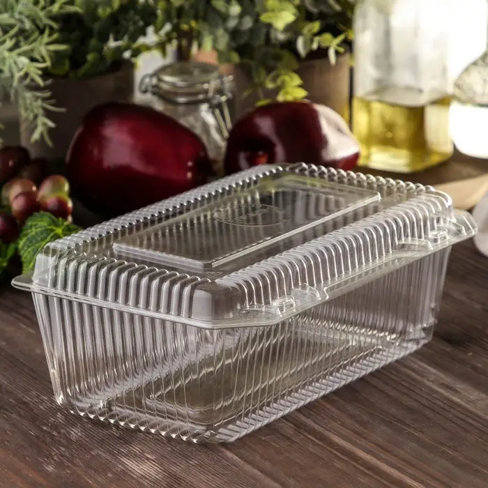 Контейнер одноразовый с неразъёмной крышкой ПР-К-29, пластик, 500 мл, 24.8×15.2×9.2 см, прозрачный