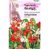 Семена цветов Фасоль декоративная, турецкие бобы, &laquo;Герцогиня&raquo;, 5 шт., серия &laquo;Чудесный балкон&raquo;, &laquo;Гавриш&raquo;