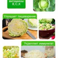 Семена Капуста белокочанная &laquo;Июньская&raquo;, 0.5 г, скороспелая, &laquo;Рецепты дедушки Никиты&raquo;