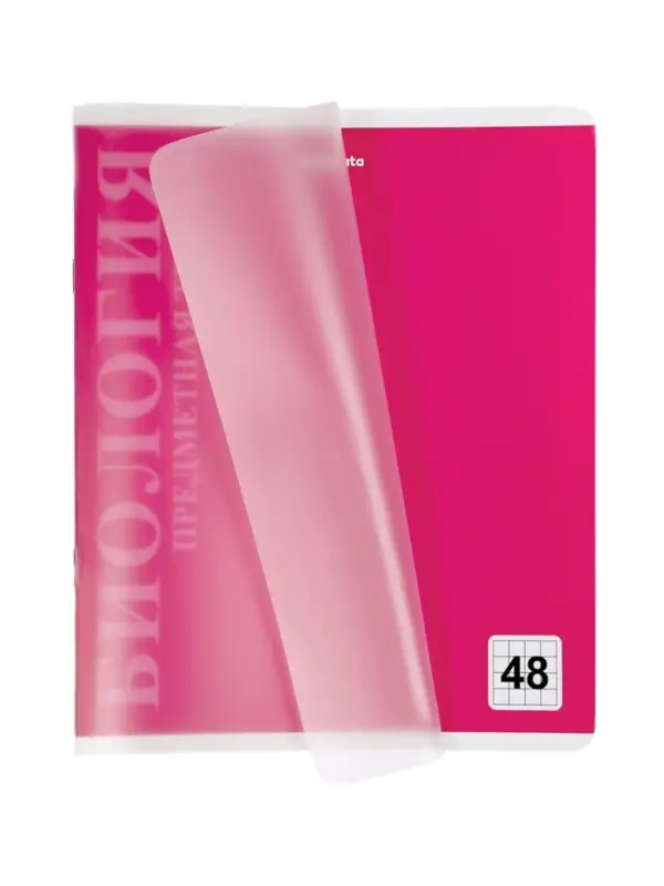 Комплект 12 предметных тетрадей 48 листов, справочная информация, 60гр, пластиковая обложка   109633