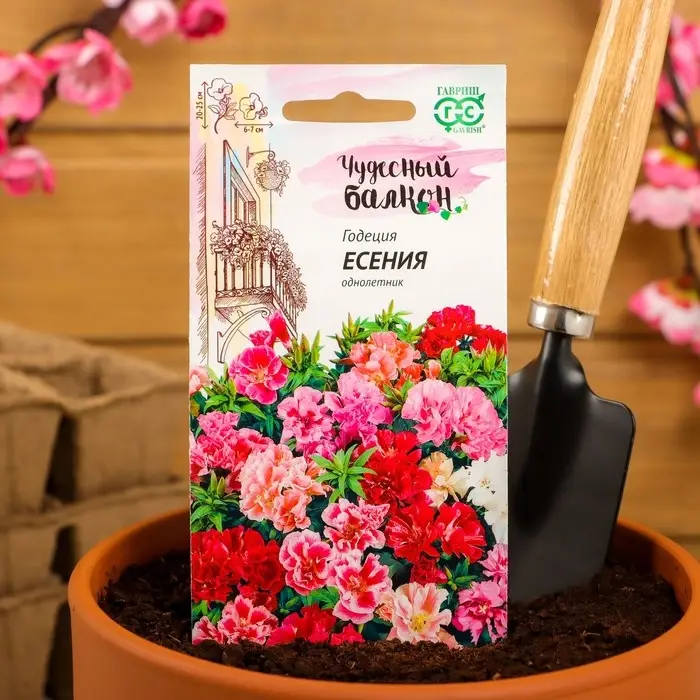 Семена цветов Годеция "Есения", ц/п,  низкая, смесь, серия Чудесный балкон,  0,05 г Семена цветов Годеция "Есения", ц/п,  низкая, смесь, серия Чудесный балкон,  0,05 г