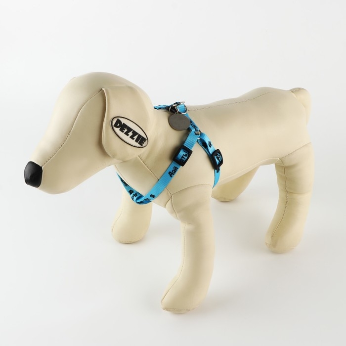 Комплект «Дай пять!», шлейка 26-39 см, поводок 120х1 см, медальон Комплект «Дай пять!», шлейка 26-39 см, поводок 120х1 см, медальон