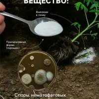 Средство от болезней растений &laquo;Флагрин-Д&raquo; (Нематодин), 100 г