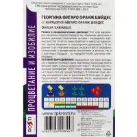 Семена цветов Георгина Фигаро Оранж Шейдес Агроуспех 7шт (400)