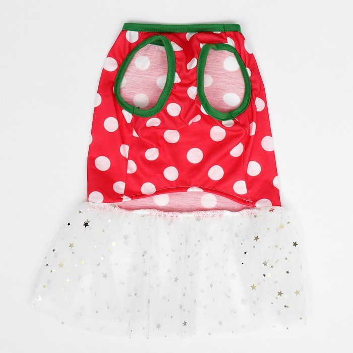 Костюм для животных Костюм для животных "Фея", размер S (ДС 27, ОГ 38, ОШ 25 см), красно-белый