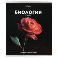 Тетради предметные 12 шт. &laquo;Черная серия&raquo;, 48 листов, со справочной информацией