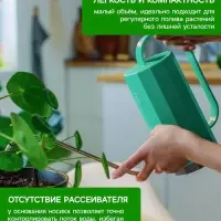 Лейка с длинным носиком, 1.2 л, без рассеивателя, зелёная, Greengo