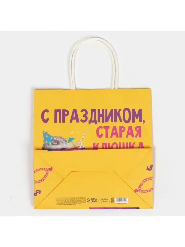 Пакет подарочный &laquo;Старая клюшка&raquo;, 22&times;22&times;11 см