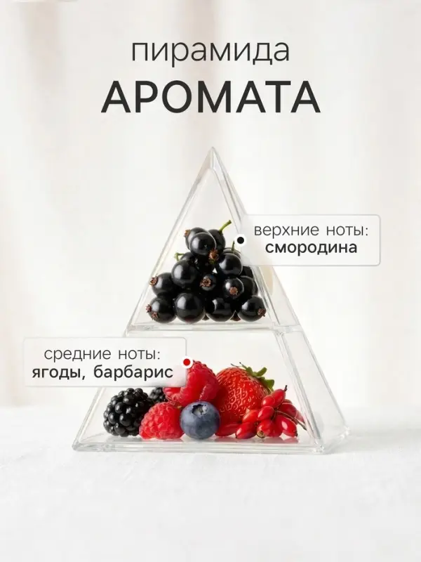 Диффузор ароматический с палочками Ягоды годжи, 50 мл