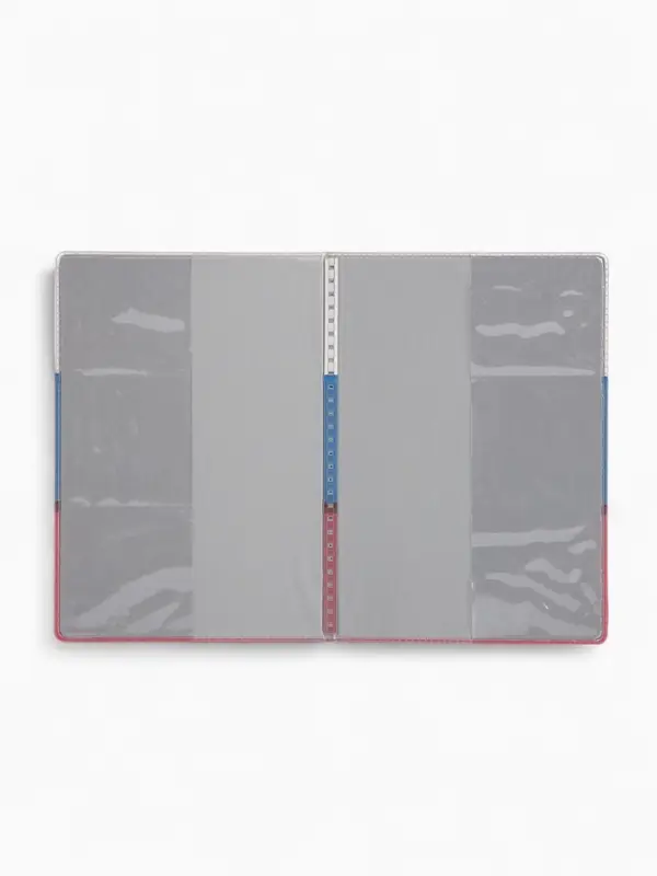 Обложка для паспорта, триколор