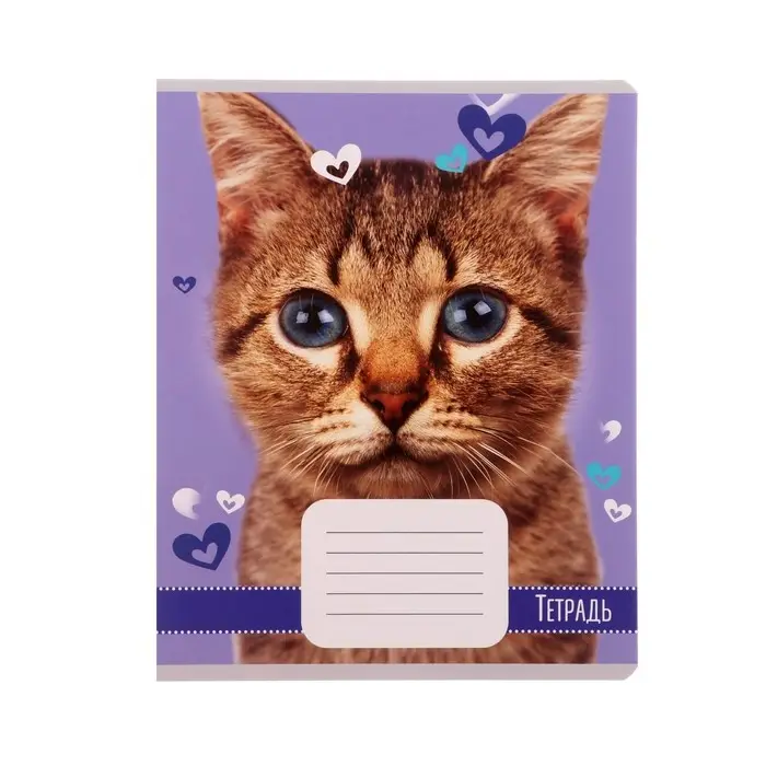 Тетрадь 18 листов в линию Calligrata "Домашние животные", обложка мелованный картон, ВД-лак, блок офсет, белизна 95%, МИКС