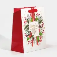 Пакет подарочный новогодний ламинированный «Чудесного Нового Года», MS 18 х 23 х 10 см