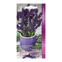 Набор семян Лаванда декоративная "Услада", 5 шт. Набор семян Лаванда декоративная "Услада", 5 шт.