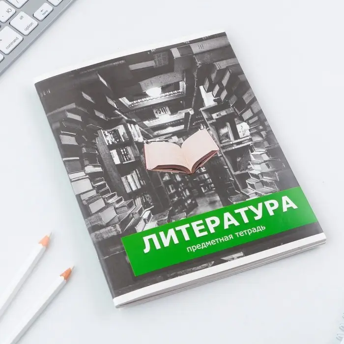 Тетрадь в линейку, предметная, 48 л.,на скрепке, А5 &laquo;ПРЕДМЕТЫ. Литература&raquo;